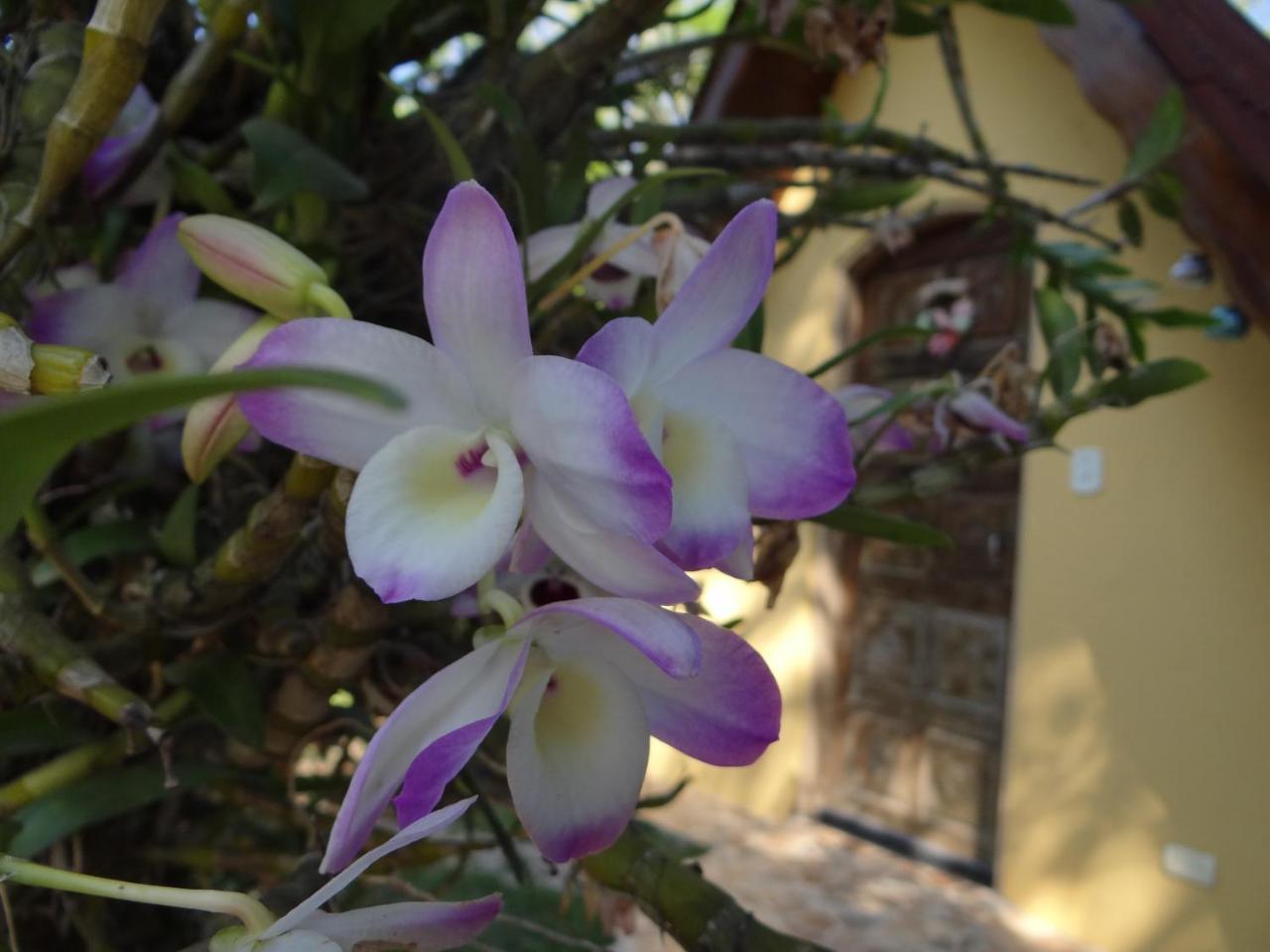 Chale Rancho Aratama Bed & Breakfast Jacareí Екстериор снимка